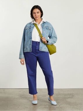 EVERLANE THE WAY-HIGH ARCHROMA DEEP LAPIS BLUE JEANS SIZE 28 S